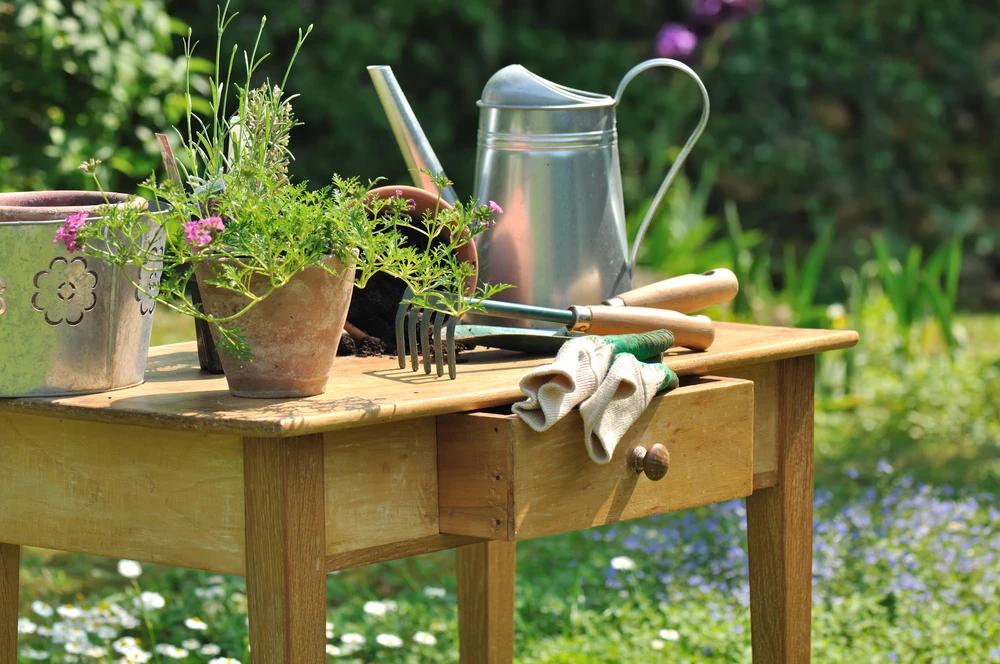 outils de jardinage et plantes disposés sur une table en bois dans le jardin