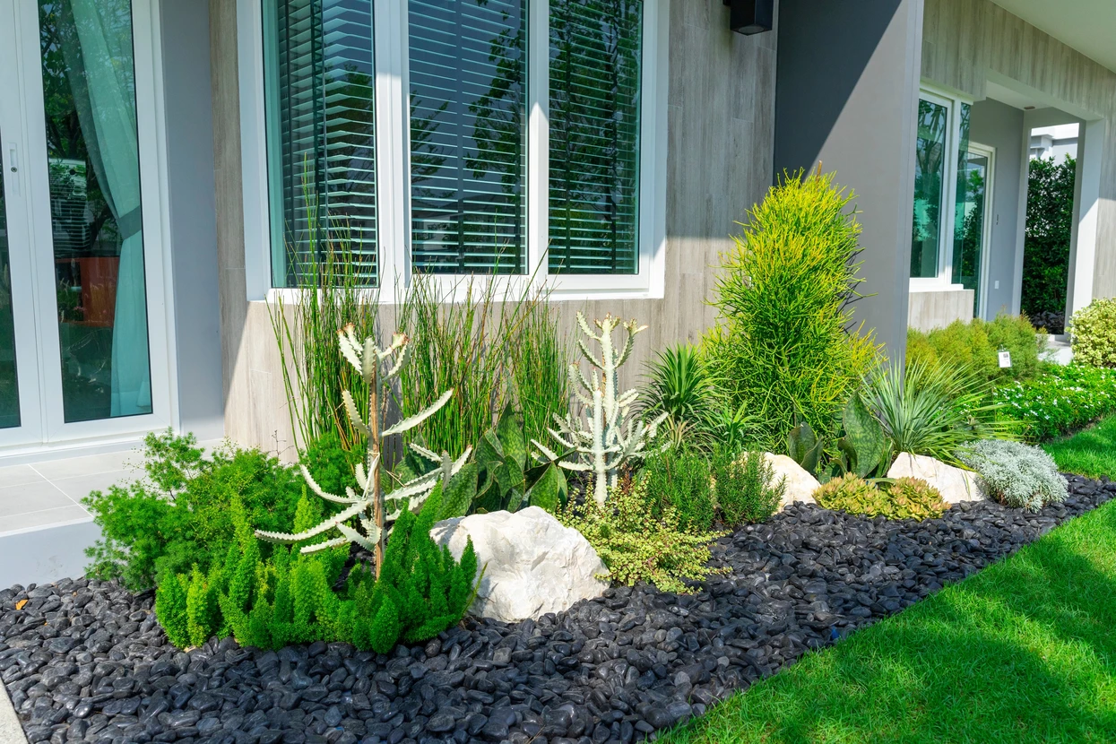 Détail d'un beau petit jardin paysager avec plantes vertes et fleurs