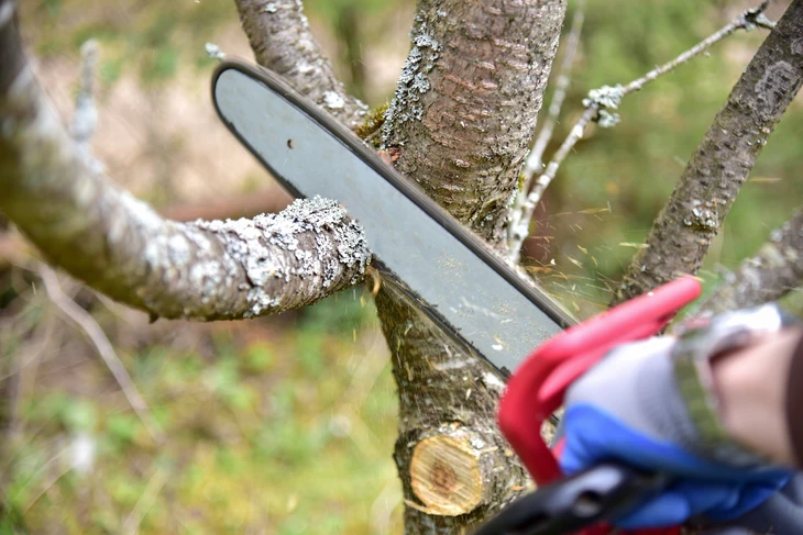 Jeune fille traversant un parcours d'accrobranche en forêt, équipée d'un casque de protection blanc et d'un baudrier avec mousquetons