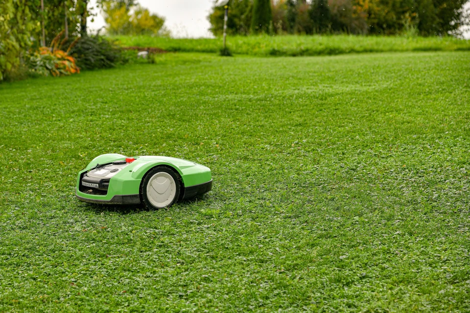 Extérieur, pelouse verte bien entretenue d'un jardin résidentiel avec végétation en arrière-plan