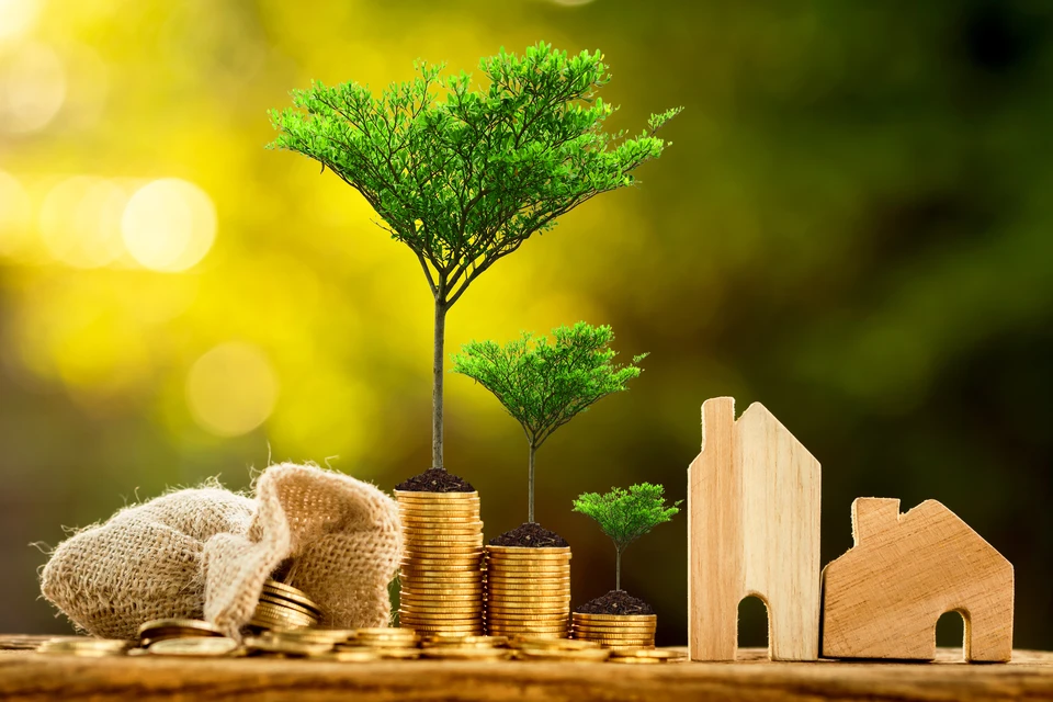 Scène extérieure de jardinage professionnel